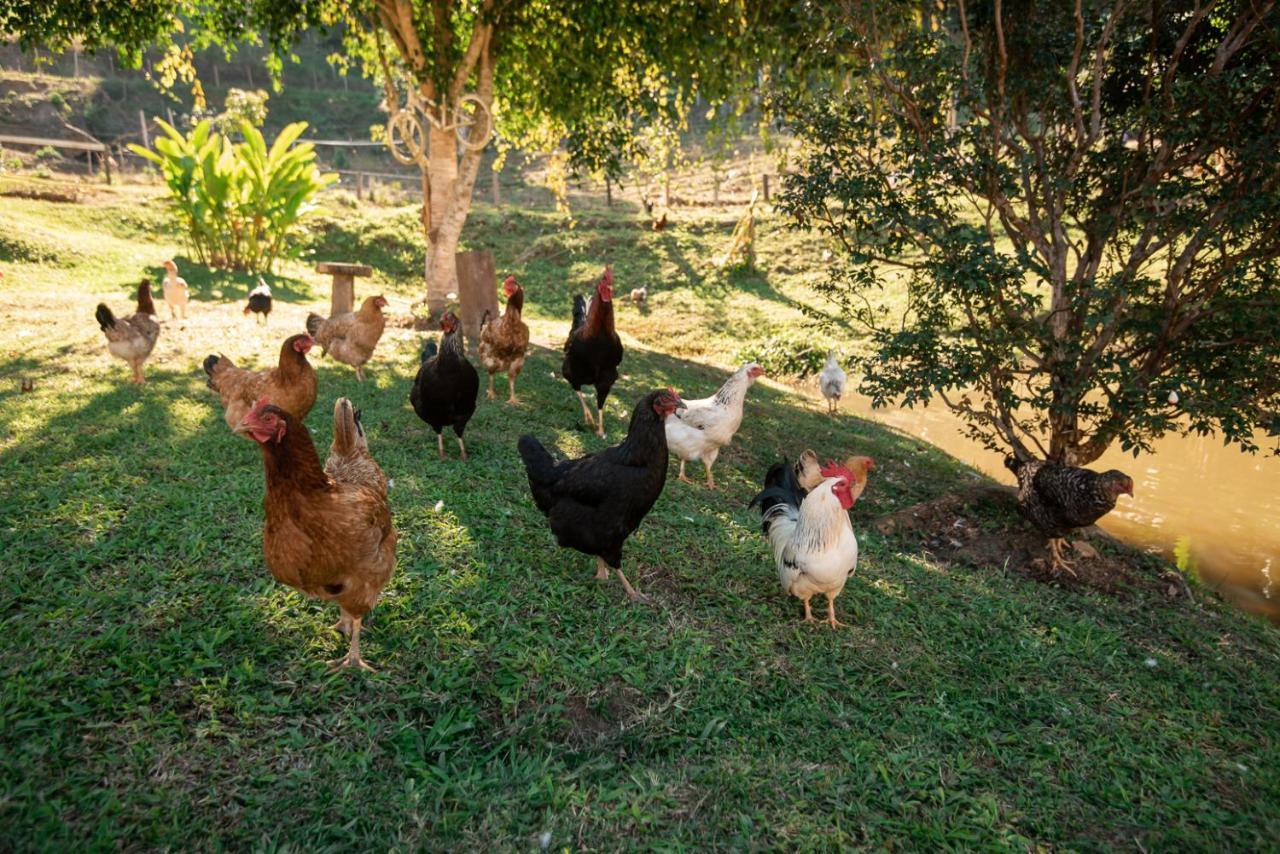 Hotel Fazenda Monteiro กงแซร์วาตอเรีย ภายนอก รูปภาพ
