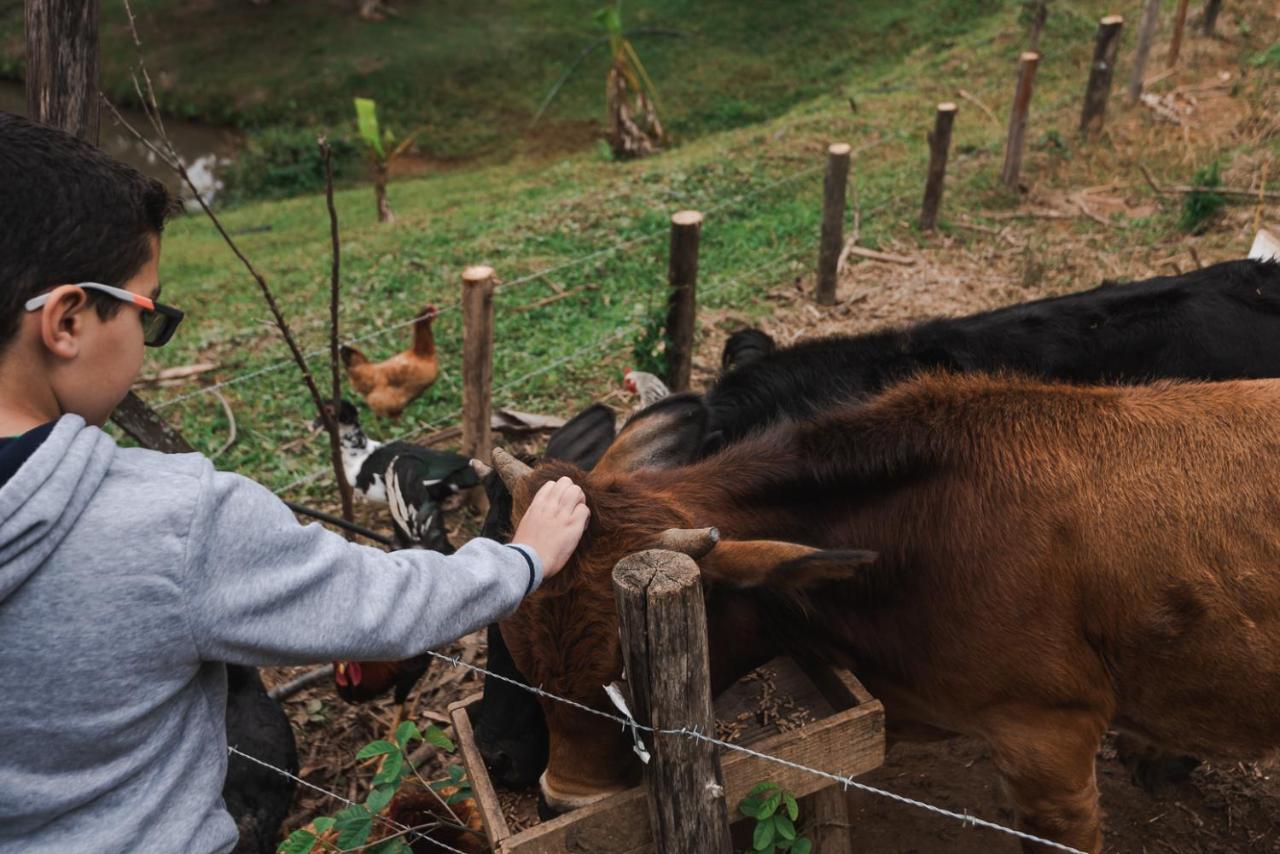 Hotel Fazenda Monteiro กงแซร์วาตอเรีย ภายนอก รูปภาพ